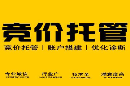 行业顶尖SEM竞价员的策略及成功案例